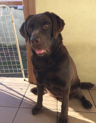 Andy - Uma lindona esperando seu Banho de Princesa